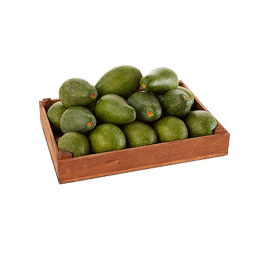 Avocat