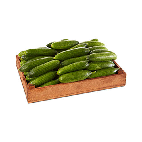 Cucumber