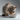 Nourriture pour chat adulte