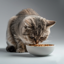 Mixed Fish Cat Food